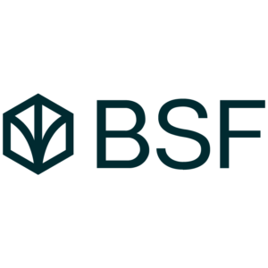 Dark Consultancy Client - BFS Public Sector Modernization Partner