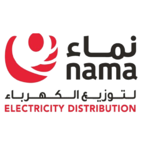 Dark Consultancy Client - nama Public Sector Modernization Partner
